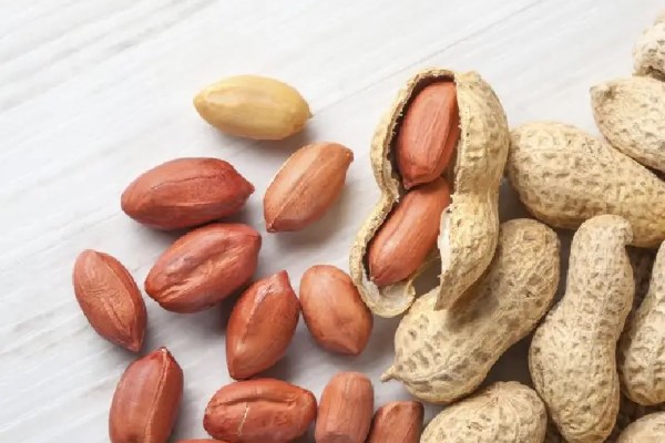 تصویر 1 از خرید و قیمت بادام زمینی بو داده + فروش صادراتی